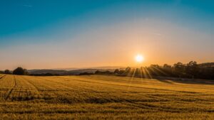 IT: Chasing Golden Hour in the Lavender Fields of Provence